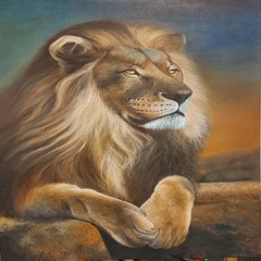 The king of jungle The king of jungle