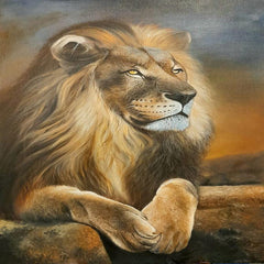 The king of jungle The king of jungle