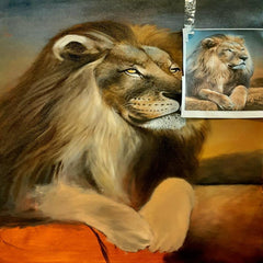 The king of jungle The king of jungle