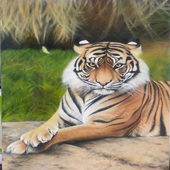 The wild beauty The wild beauty